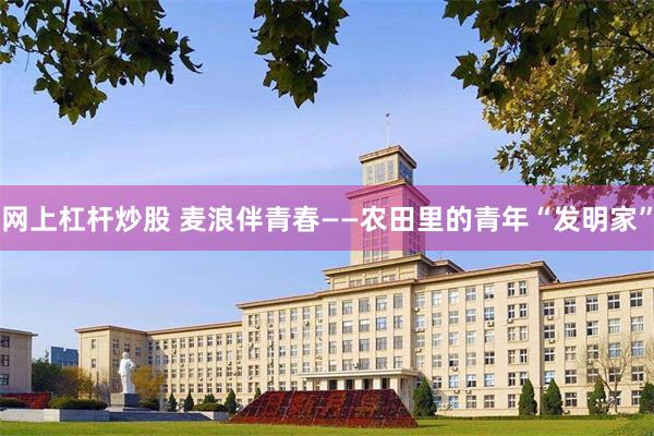 网上杠杆炒股 麦浪伴青春——农田里的青年“发明家”