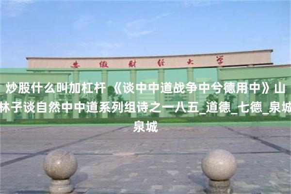 炒股什么叫加杠杆 《谈中中道战争中兮德用中》山林子谈自然中中道系列组诗之一八五_道德_七德_泉城