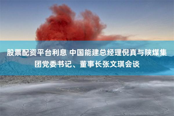 股票配资平台利息 中国能建总经理倪真与陕煤集团党委书记、董事长张文琪会谈