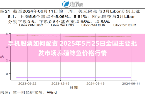 手机股票如何配资 2025年5月25日全国主要批发市场养殖鲶鱼价格行情