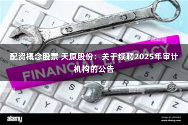 配资概念股票 天原股份：关于续聘2025年审计机构的公告