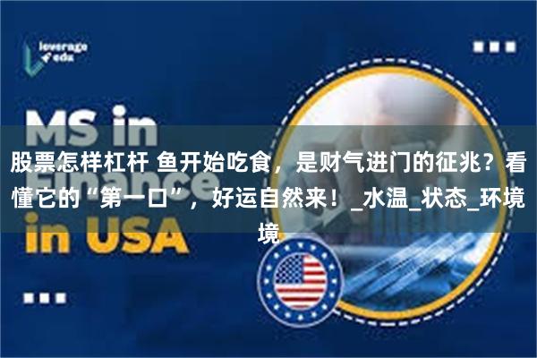 股票怎样杠杆 鱼开始吃食，是财气进门的征兆？看懂它的“第一口”，好运自然来！_水温_状态_环境