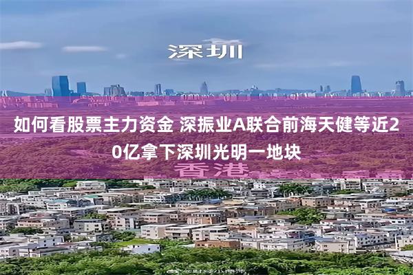 如何看股票主力资金 深振业A联合前海天健等近20亿拿下深圳光明一地块