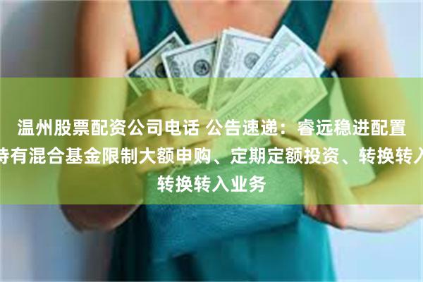 温州股票配资公司电话 公告速递：睿远稳进配置两年持有混合基金限制大额申购、定期定额投资、转换转入业务