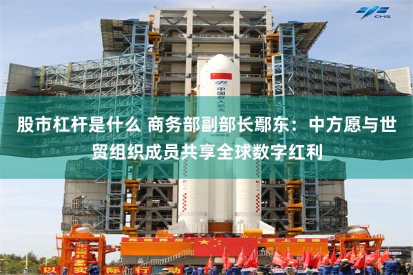 股市杠杆是什么 商务部副部长鄢东：中方愿与世贸组织成员共享全球数字红利