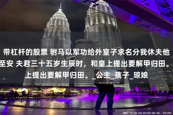 带杠杆的股票 驸马以军功给外室子求名分我休夫他悔疯了 傅成恩傅至安 夫君三十五岁生辰时，和皇上提出要解甲归田。_公主_孩子_琼娘