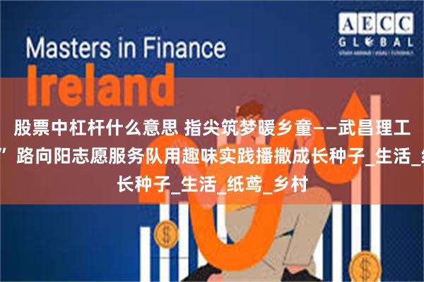 股票中杠杆什么意思 指尖筑梦暖乡童——武昌理工学院 “医” 路向阳志愿服务队用趣味实践播撒成长种子_生活_纸鸢_乡村