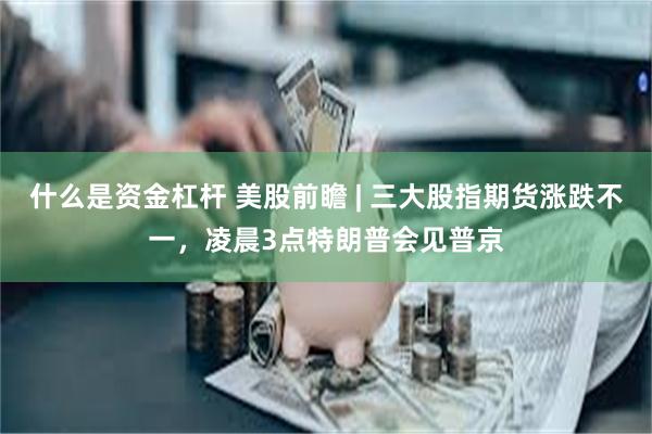 什么是资金杠杆 美股前瞻 | 三大股指期货涨跌不一，凌晨3点特朗普会见普京