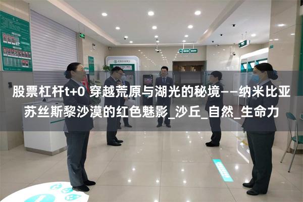 股票杠杆t+0 穿越荒原与湖光的秘境——纳米比亚苏丝斯黎沙漠的红色魅影_沙丘_自然_生命力
