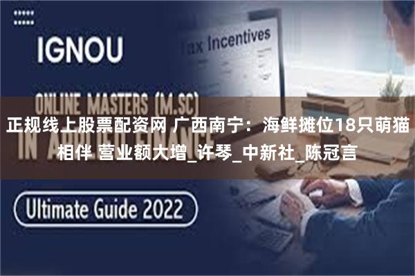 正规线上股票配资网 广西南宁：海鲜摊位18只萌猫相伴 营业额大增_许琴_中新社_陈冠言