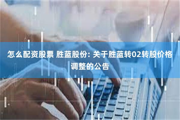 怎么配资股票 胜蓝股份: 关于胜蓝转02转股价格调整的公告