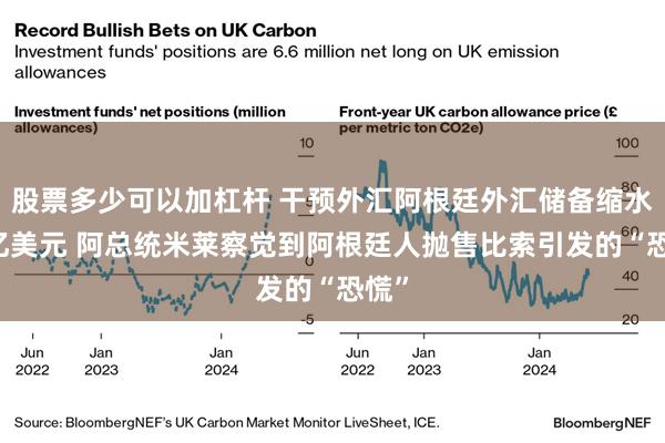 股票多少可以加杠杆 干预外汇阿根廷外汇储备缩水10亿美元 阿总统米莱察觉到阿根廷人抛售比索引发的“恐慌”