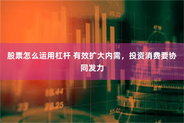 股票怎么运用杠杆 有效扩大内需，投资消费要协同发力