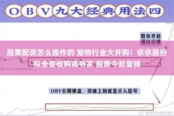 股票配资怎么操作的 宠物行业大并购！依依股份拟全资收购高爷家 股票今起复牌